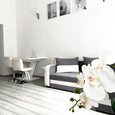 Apartmán Belvarosi *