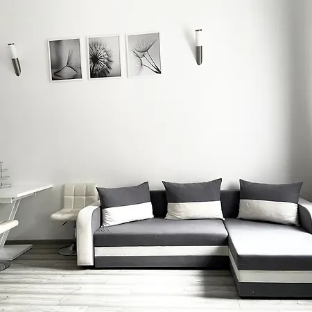 Belvarosi * Miškovec