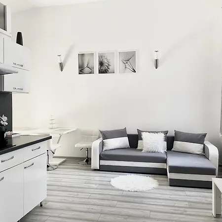 Belvarosi * Miškovec