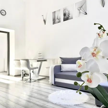 Belvarosi Apartament