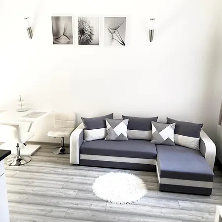 Belvarosi * Miškovec