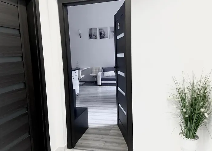 Belvarosi Apartament Miszkolc