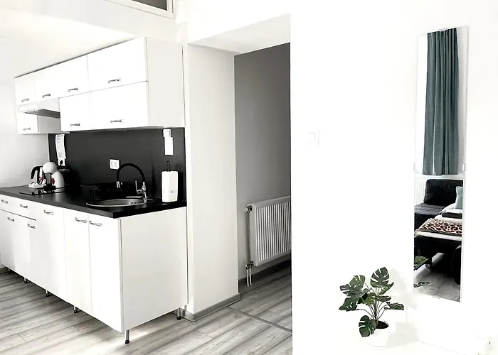 Belvarosi Apartament Miszkolc