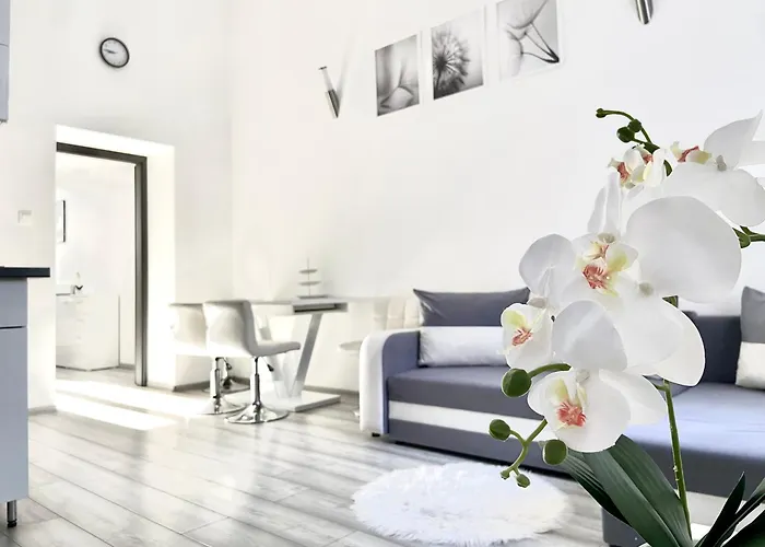 Belvárosi Apartamento