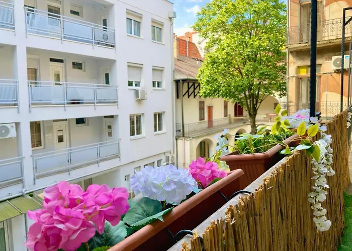 Belvárosi * Miskolc